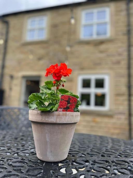 Olive Holiday Cottage Matlock Exteriör bild